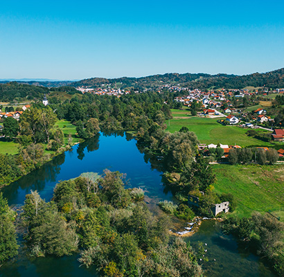 Mrežnička Fantazija