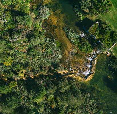 Mrežnička Fantazija