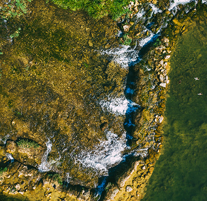 Mrežnička Fantazija