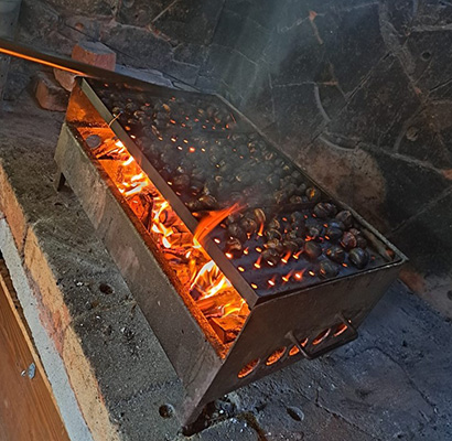 Mrežnička Fantazija