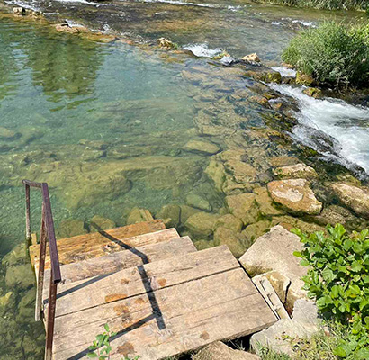 Mrežnička Fantazija