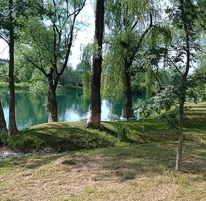 Mrežnička Fantazija