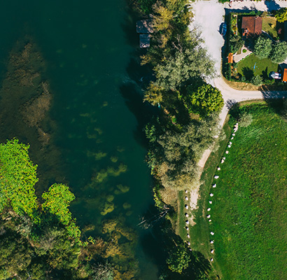 Mrežnička Fantazija