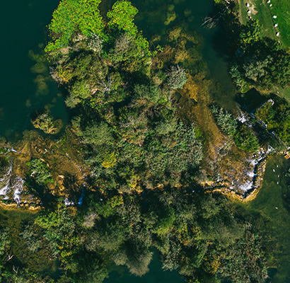 Mrežnička Fantazija